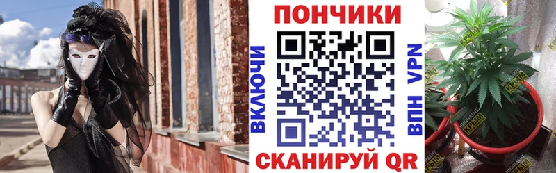 Канабис SATIVA & INDICA  где найти наркотики  Калининец 